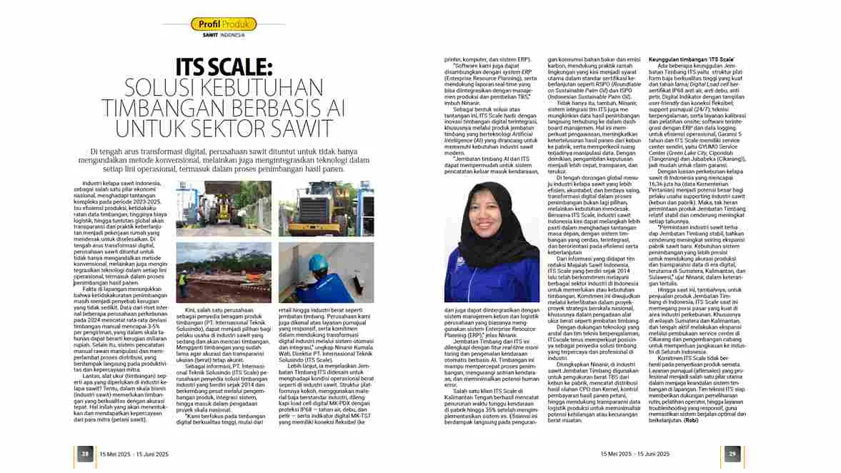 #harga sawit hari ini
#bibit sawit unggul
#harga sawit hari ini